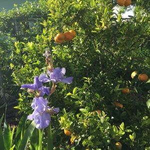 All reasonable offers considered bundles 2or more